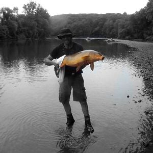 Profile picture for Josh Albergo