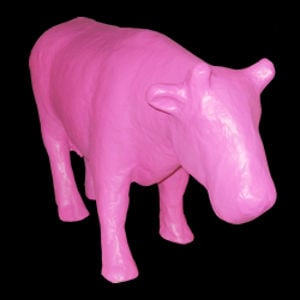 Profile picture for cowygr8