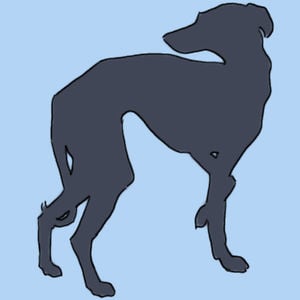 Profile picture for Kristen Miller