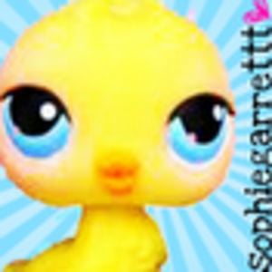 Profile picture for Sophie