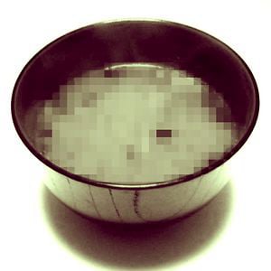 Profile picture for Digital Miso