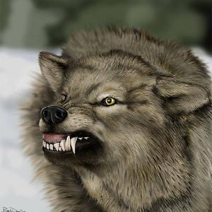 Profile picture for Djpate246
