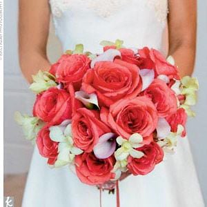 Profile picture for Second Mile Weddings