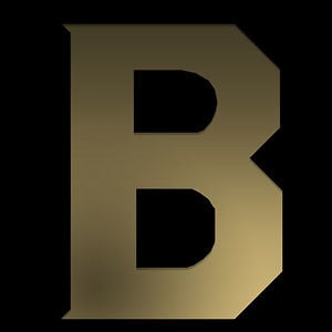 Profile picture for Bullet