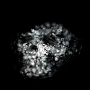 Profile picture for Anthony Rousseau