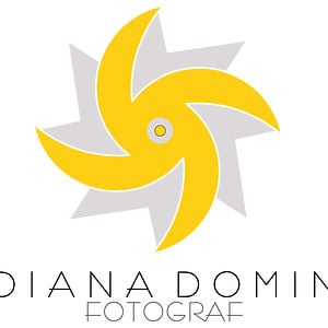 Profile picture for Diana Domin Group