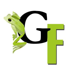 Profile picture for GRUPO FILMICO Reality Films