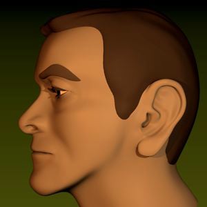 Profile picture for Uan Guz