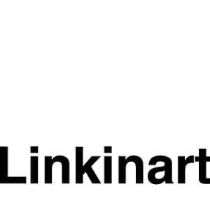 Profile picture for linkinart