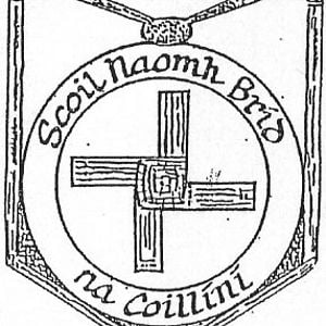 Profile picture for Culleens NS
