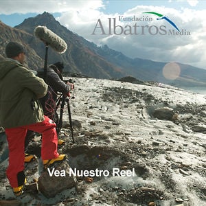 Profile picture for Albatros Media