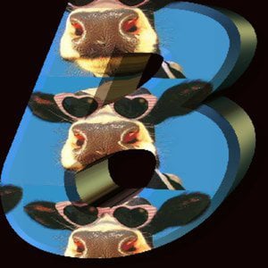 Profile picture for alternative boris