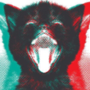 Profile picture for André Cruz