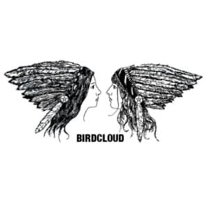 Profile picture for Birdcloud