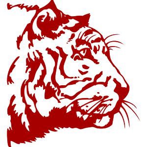 Profile picture for Tiger Style