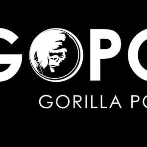 Profile picture for Gorilla Poet Productions