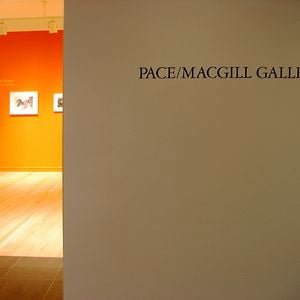Profile picture for Pace/MacGill Gallery