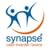 synapse