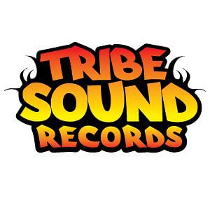Profile picture for TribeSound Records
