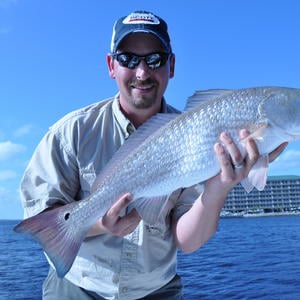 Profile picture for Treblehook Media Solutions