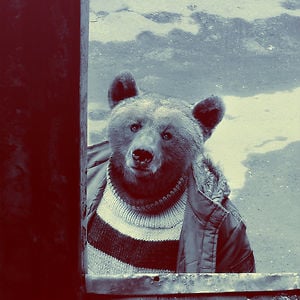 Profile picture for gkhnksknl