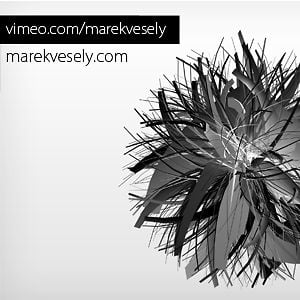 Profile picture for Marek Vesely