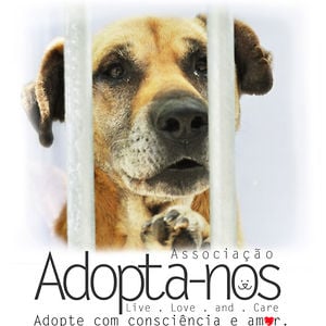 Profile picture for Adopta-nos