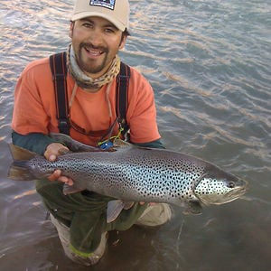 Profile picture for Carlos Dinamarca