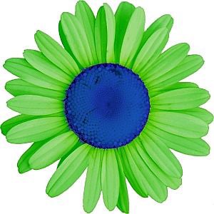 Profile picture for Nancy Weitz