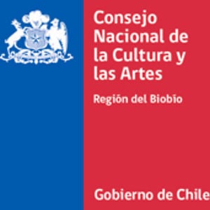 Profile picture for CULTURA BIOBIO-CRCA