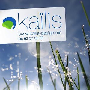 Profile picture for Studio Kailis