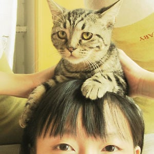 Profile picture for Fan Liang