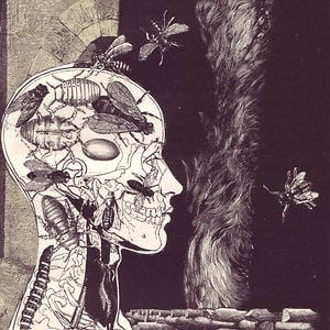 Profile picture for jeroen nieuwland