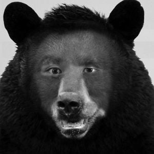 Profile picture for Joseph Chan
