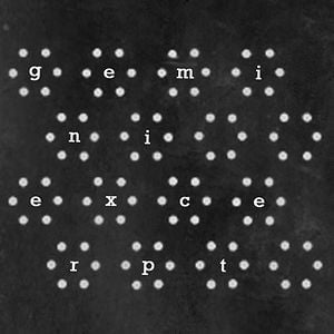 Profile picture for gemini excerpt
