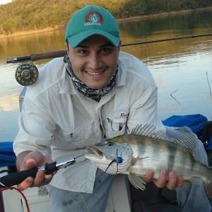 Profile picture for Rodrigo Zhouri