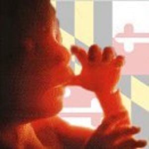 Profile picture for Maryland Coalition for Life