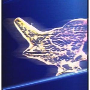 Profile picture for brokenkites