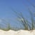 BrightIsland