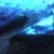 Zblur