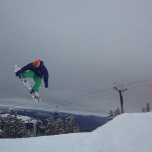 Profile picture for Matt Turner