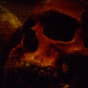 Profile picture for Lawrence Roper