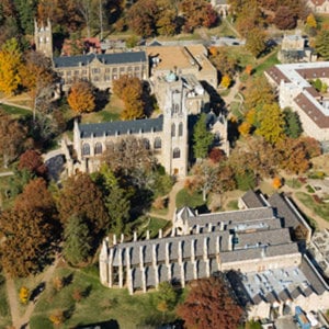 Profile picture for University of the South
