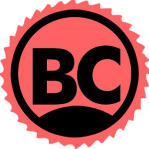 Profile picture for Backseat Conceptions