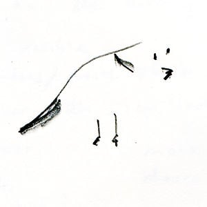 Profile picture for Benjamin Cady