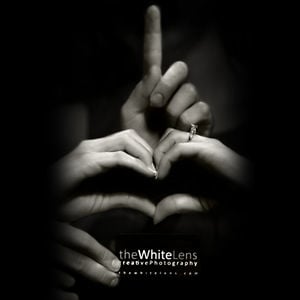Profile picture for White Lens