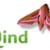 Qind Online