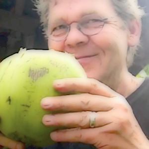 Profile picture for schmuddelwetter