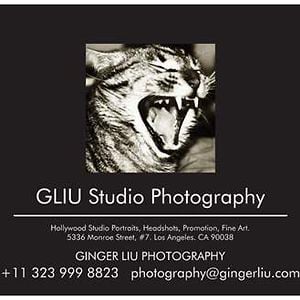 Profile picture for Ginger Liu
