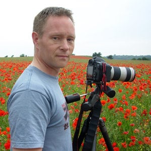 Profile picture for Paul Ward